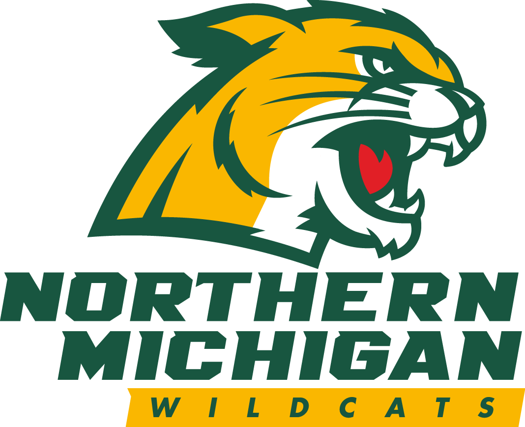 Northern Michigan Wildcats 2016-Pres Primary Logo t shirts iron on transfers